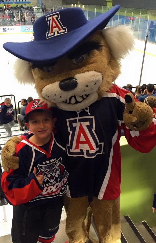 Wildcat fan